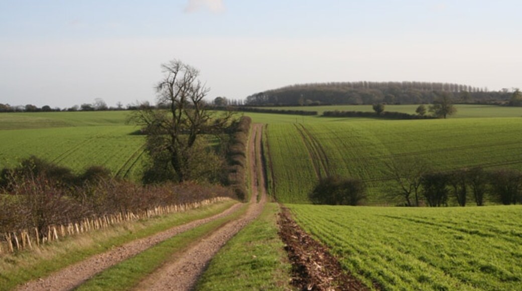 Foto “Wyville cum Hungerton” tomada por Kate Jewell (CC BY-SA); recorte de la original