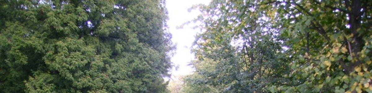 Photo "One way approach track to Linden Hall Hotel" by Phil Catterall (Creative Commons Attribution-Share Alike 2.0) / Cropped from original