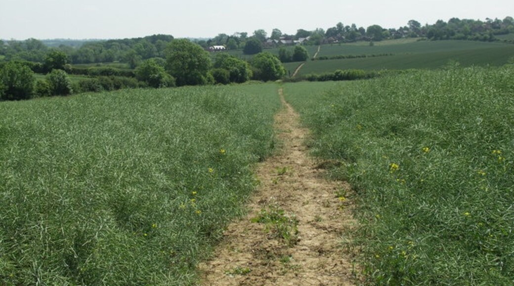 Foto „Scaldwell“ von Richard Williams (CC BY-SA)/zugeschnittenes Original