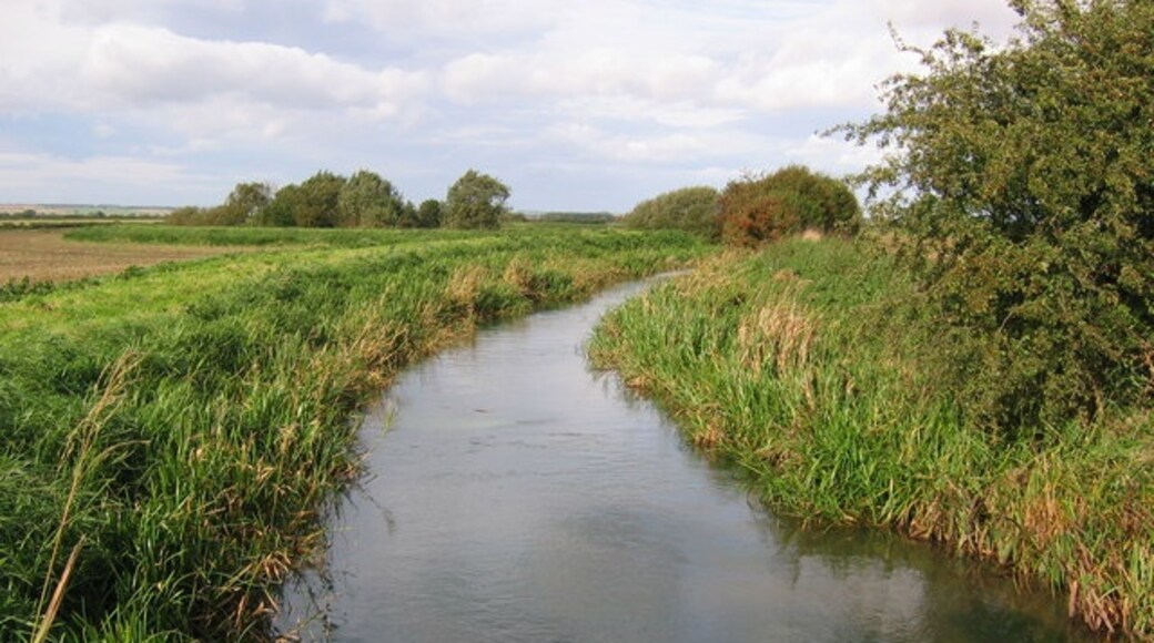 Foto “Foston” tomada por Stephen Horncastle (CC BY-SA); recorte de la original