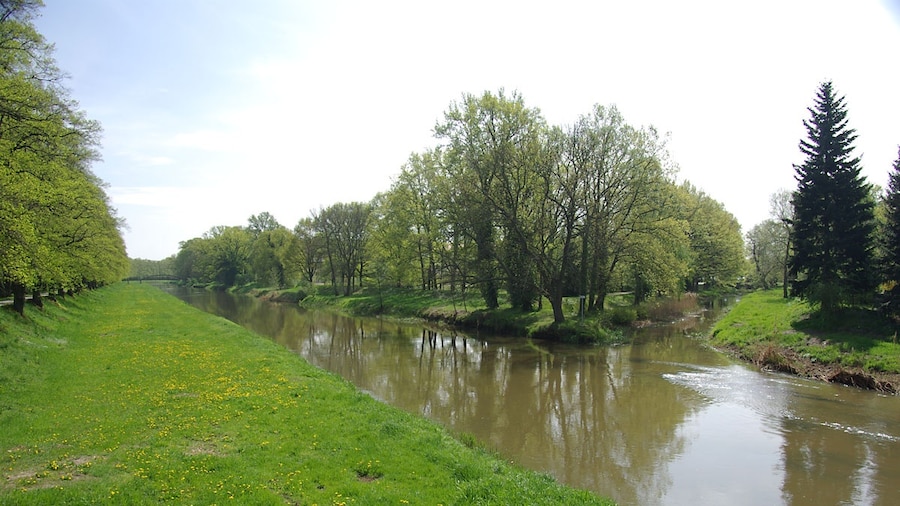 Photo "River of Schwarze Elster in Bad Liebenwerda" by DerFussi (Creative Commons Attribution-Share Alike 3.0) / Cropped from original