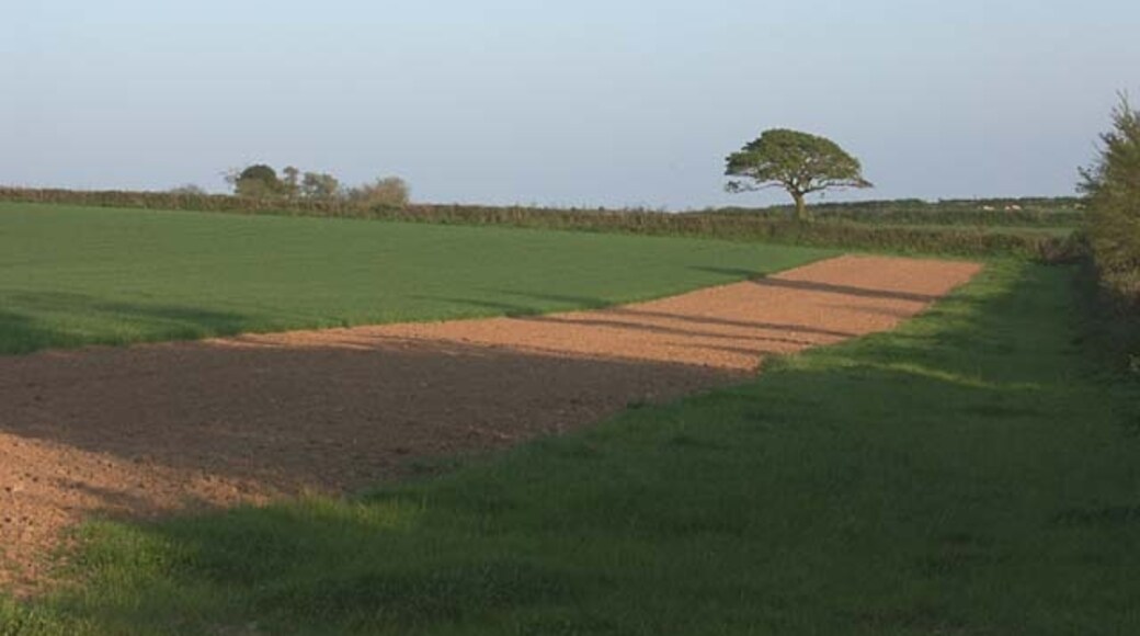 Kuva ”St. Michael Penkevil” käyttäjältä Fred James (CC BY-SA) / rajattu alkuperäisestä kuvasta