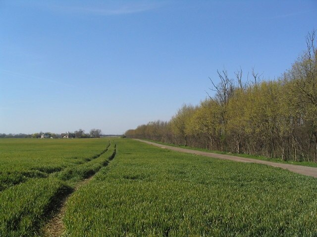 Foto “Wood Walton” tomada por Tim Heaton (CC BY-SA); recorte de la original