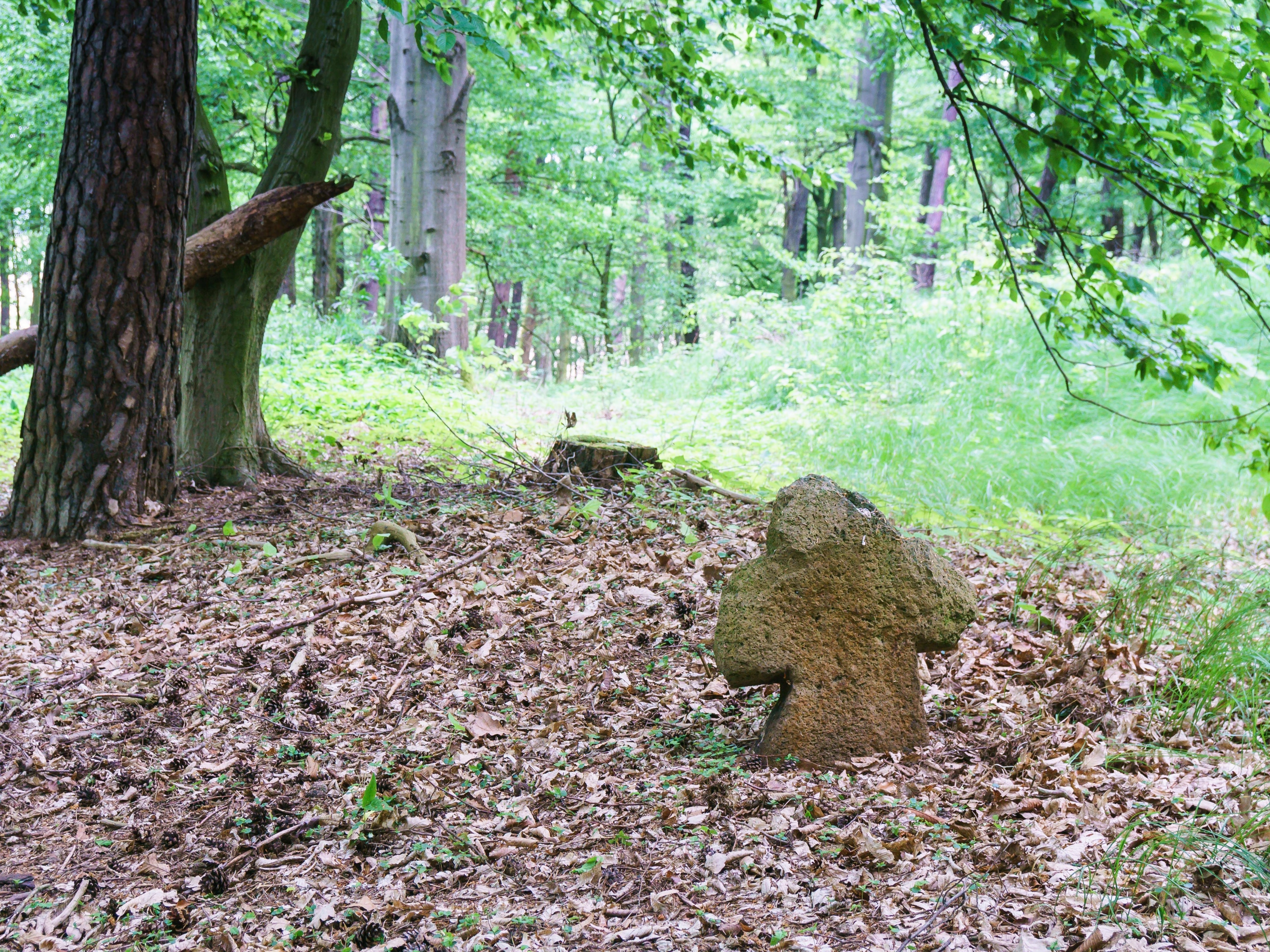 Photo "Kleinbothen" by Radler59 (CC BY-SA) / Cropped from original