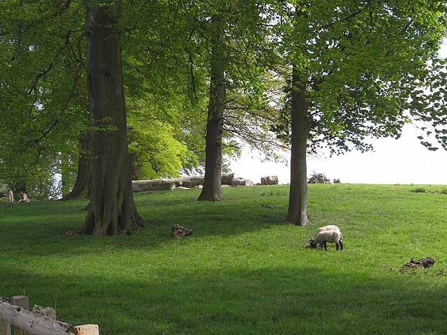 Foto "Neasham" de Oliver Dixon (CC BY-SA) / Recortada do original