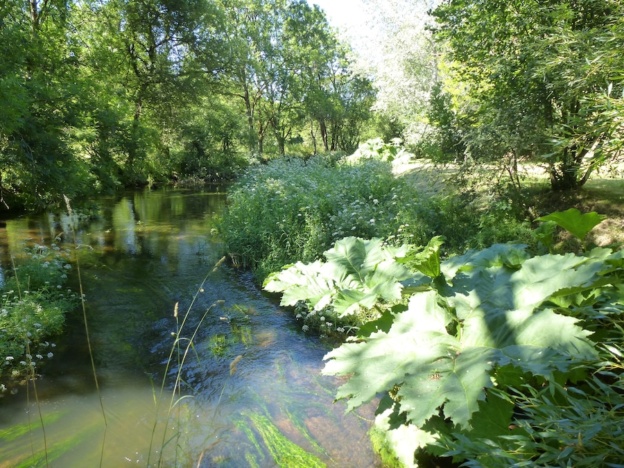 le loch a brandivy