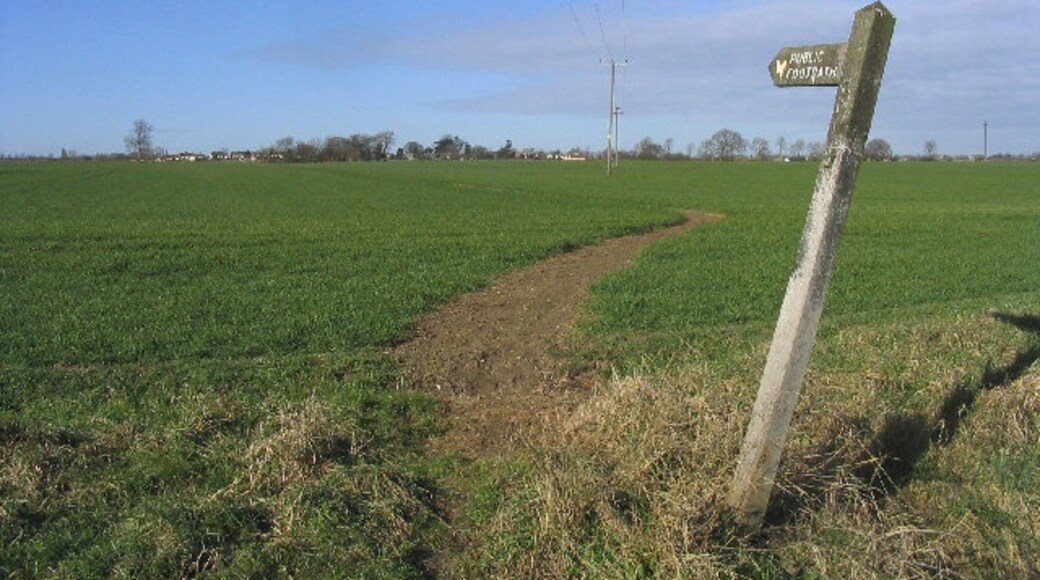 "Roxwell"-foto av John Winfield (CC BY-SA) / Urklipp från original