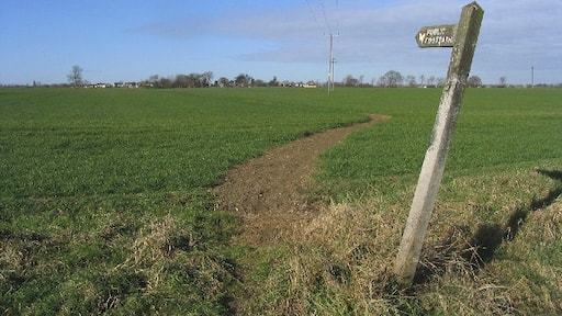 Kuva ”Roxwell” käyttäjältä John Winfield (CC BY-SA) / rajattu alkuperäisestä kuvasta