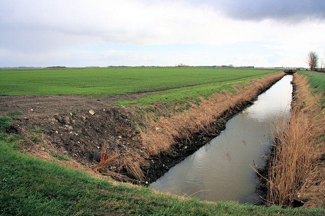 Foto “Warboys” tomada por Bob Jones (CC BY-SA); recorte de la original