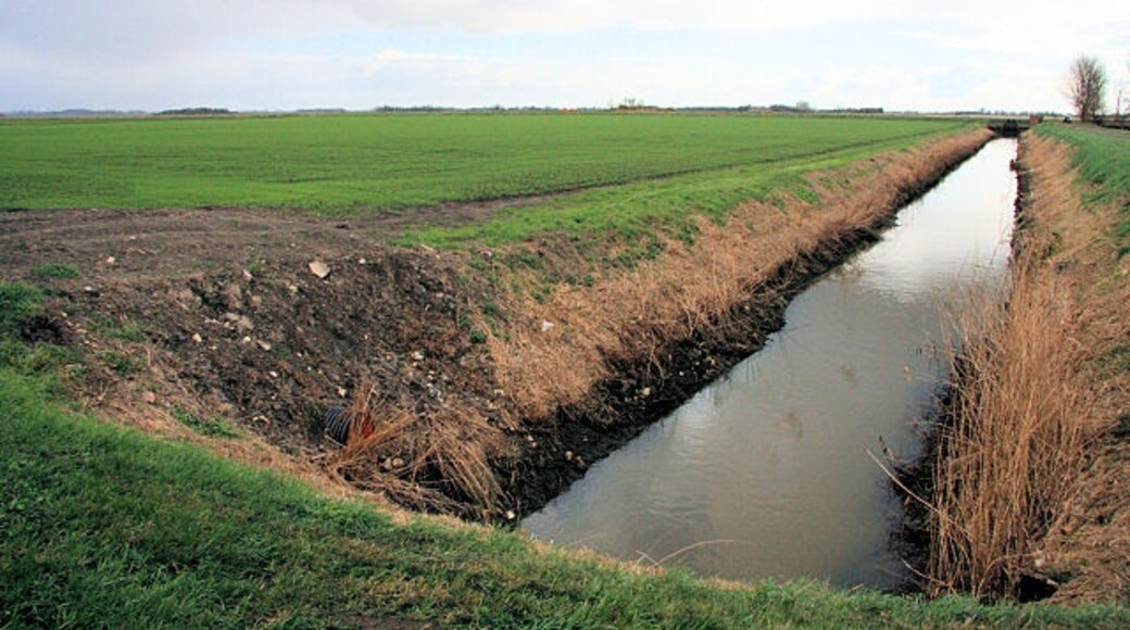 Foto “Warboys” tomada por Bob Jones (CC BY-SA); recorte de la original