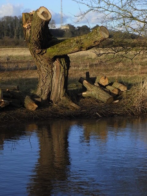 Foto “Warndon” tomada por Chris Allen (CC BY-SA); recorte de la original