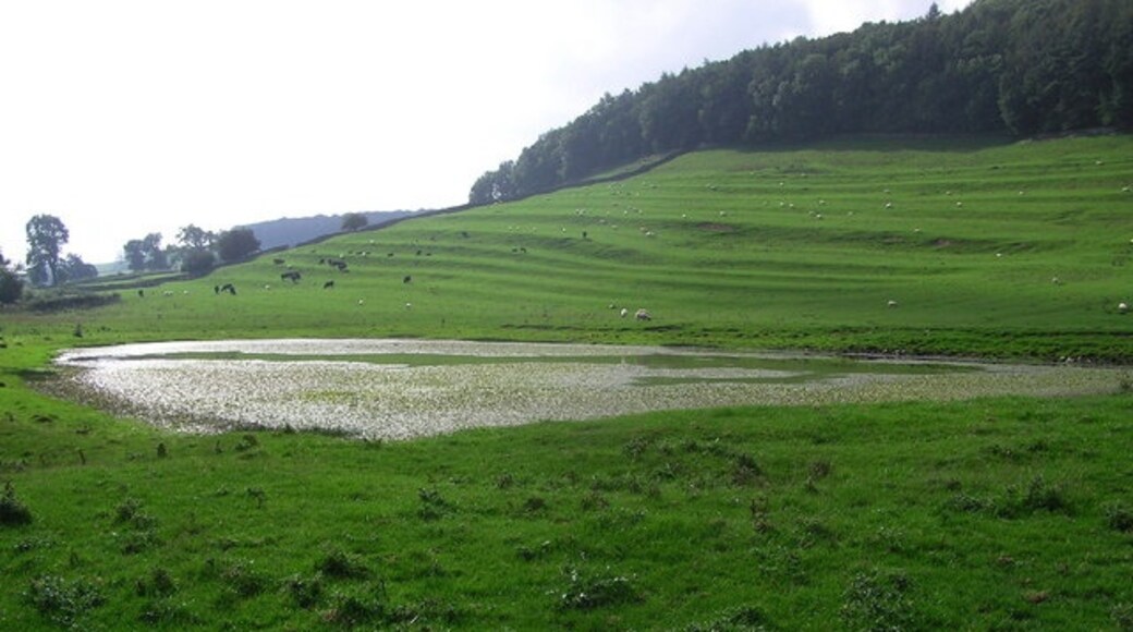 Photo "Marske" by Hugh Mortimer (CC BY-SA) / Cropped from original