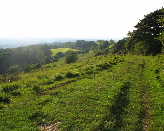 The old route of Lansdown Lane This grassy track marks the old route from Upton Cheyney to Lansdown. The area is now open access land.