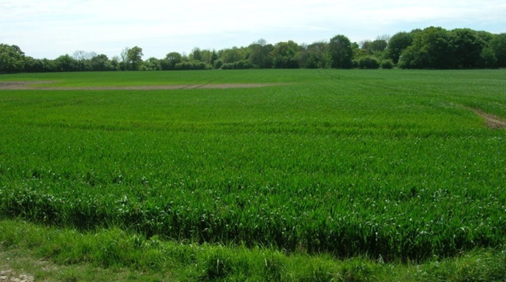 Foto “Skerne y Wansford” tomada por JThomas (CC BY-SA); recorte de la original