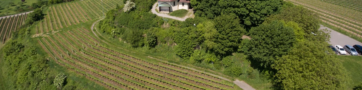Photo "Aerial view Erentrudis chapel above Freiburg-Munzingen" by Volatus (page does not exist) (Creative Commons Attribution-Share Alike 4.0) / Cropped from original