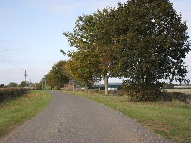 Line of trees beside the road to Cote