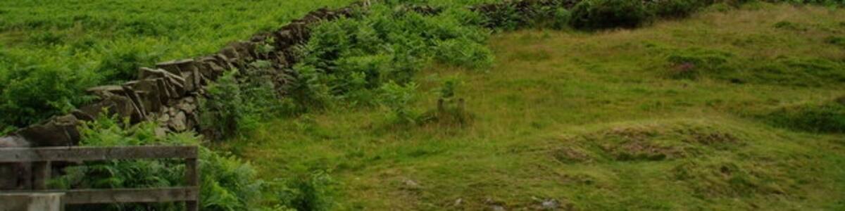 Photo "Moel Arthur Moel Arthur is one of a chain of mountains which forms the Clwydian Range. Six of these, including Moel Arthur, were the site of a hillfort." by Eirian Evans (Creative Commons Attribution-Share Alike 2.0) / Cropped from original