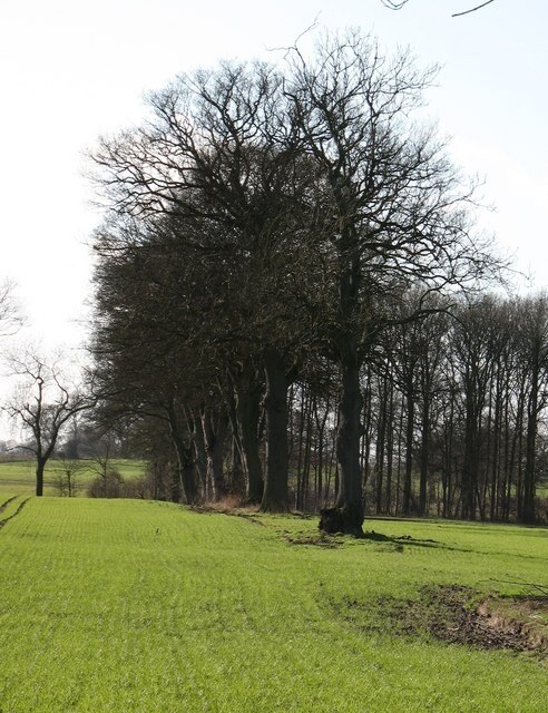 Foto “Brafferton y Helperby” tomada por Gordon Hatton (CC BY-SA); recorte de la original