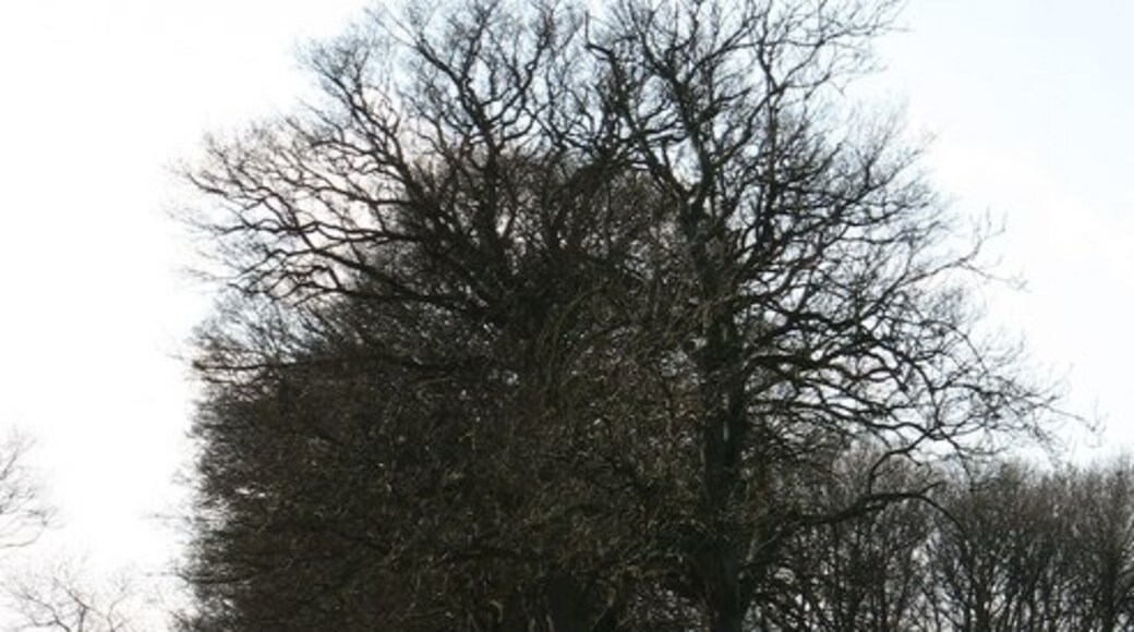 Foto “Brafferton y Helperby” tomada por Gordon Hatton (CC BY-SA); recorte de la original