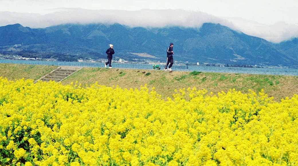 照片“守山” 拍摄者：takasumir（CC BY-SA）原片经过裁剪