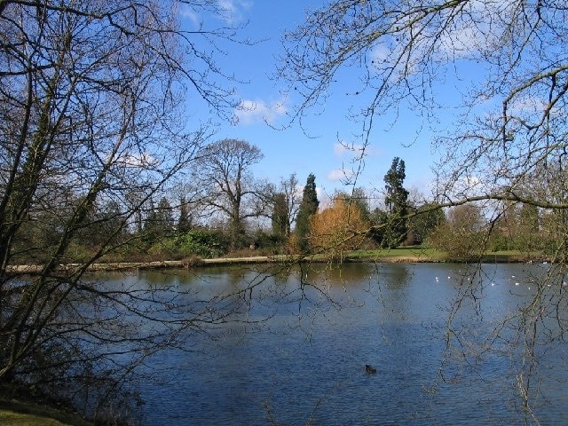 Danbury Lakes. One of the lakes in Danbury Country Park on the outskirts of Chelmsford, this is the middle lake.