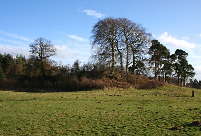 Hummock near Coronation Wood. A small rise bearing a mixture of Scots pine and deciduous trees stands adjacent to Coronation Wood. A similar hummock is located a few hundred metres north west in SJ5352; see 712998. View from the footpath between Coronation Wood and Bulkeleyhay