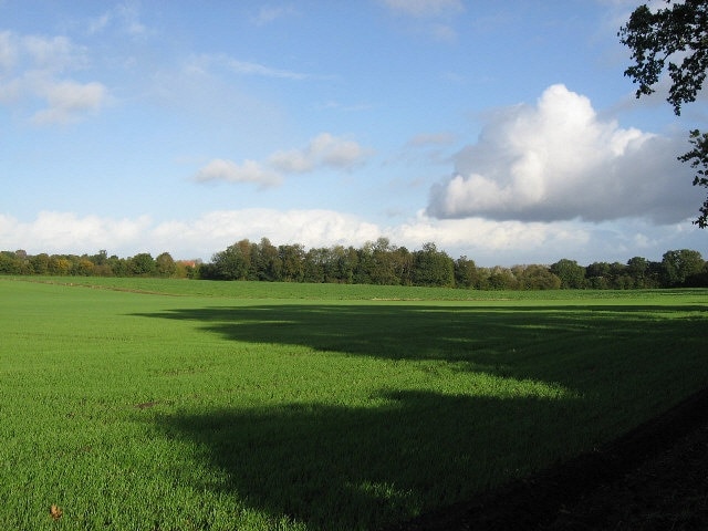 Foto „Garvestone“ von Roger Gilbertson (CC BY-SA)/zugeschnittenes Original