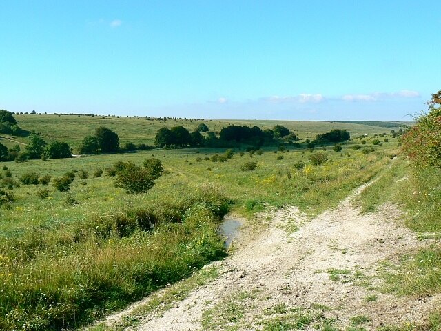 Imber range, north of Imber, Salisbury Plain This image was taken close to the southern gridline of the square facing west south west. The southern gridline is at the centre of the image whilst the junction of the tracks in the foreground is at ST95884903.