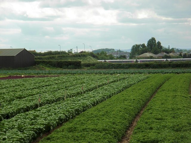 "Wyre Piddle"-foto av David Luther Thomas (CC BY-SA) / Urklipp från original