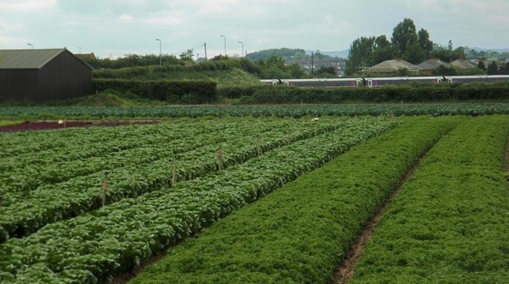 Foto “Wyre Piddle” tomada por David Luther Thomas (CC BY-SA); recorte de la original