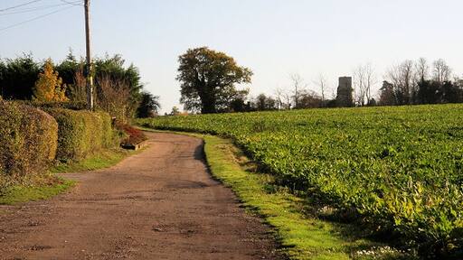 Photo "Stowlangtoft" by Bob Jones (CC BY-SA) / Cropped from original