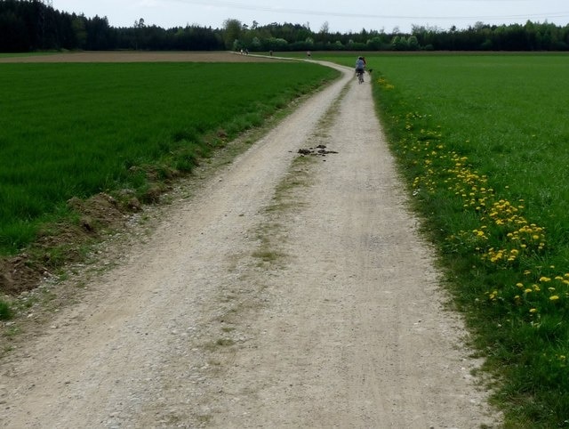 Feldweg bei Ingelsberg