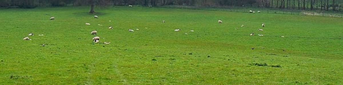Photo "Sheep pasture, east of Wortley This view is facing south-east down a slope to an unnamed watercourse. The maps show many springs in the area." by Brian Robert Marshall (Creative Commons Attribution-Share Alike 2.0) / Cropped from original
