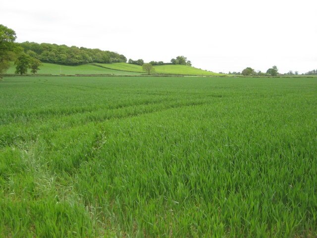 Foto “Bredicot” tomada por Philip Halling (CC BY-SA); recorte de la original