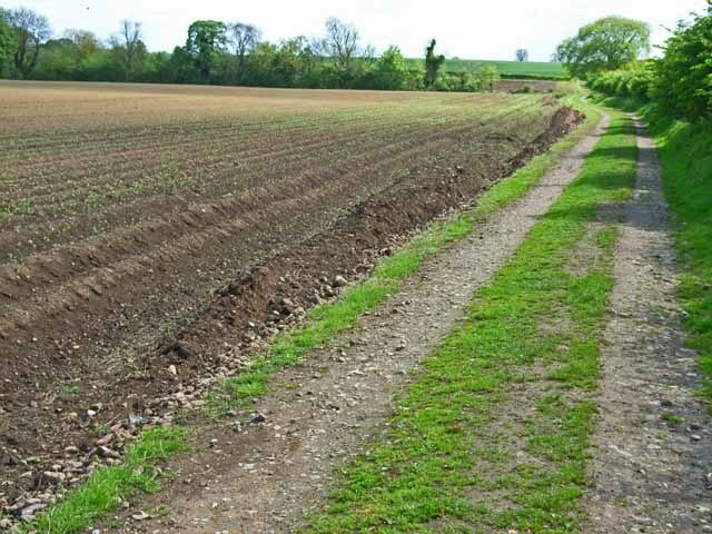 Ảnh "Colburn" của Oliver Dixon (CC BY-SA) / Cắt từ ảnh gốc