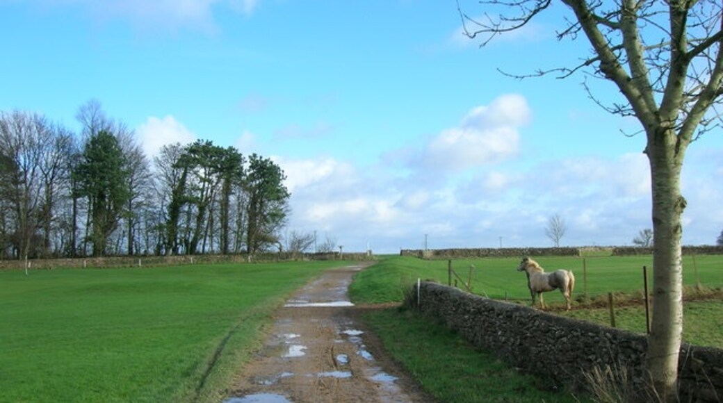 "North Stoke"-foto av James Ayres (CC BY-SA) / Urklipp från original