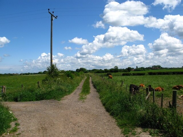 Foto “Murton” tomada por David Rogers (CC BY-SA); recorte de la original