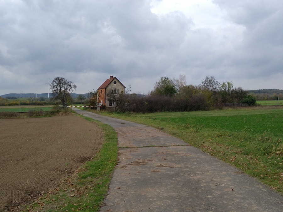 The Steinfeld (Stonefield) near Harlingerode at the approximate position of the lost village Döringerode.