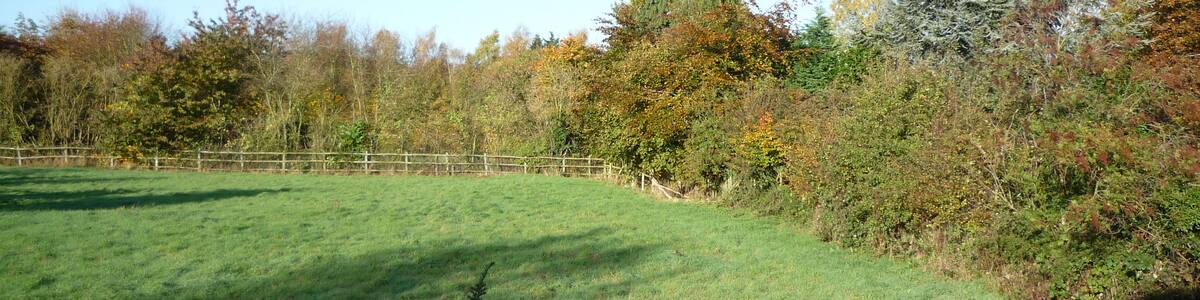 Photo "Otham, near Maidstone" by Красимир Косев (Creative Commons Attribution 3.0) / Cropped from original