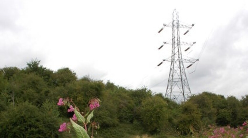 Kuva ”Hanham Abbots” käyttäjältä Philip Halling (CC BY-SA) / rajattu alkuperäisestä kuvasta