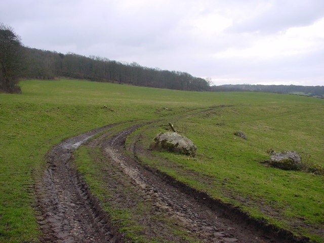 Footpath to Leighton Hall. This bridleway skirts Leighton Moss Nature Reserve, making a popular round trip.