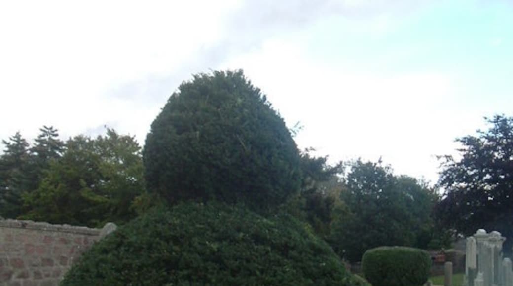 Photo "Torphins" by Stanley Howe (CC BY-SA) / Cropped from original