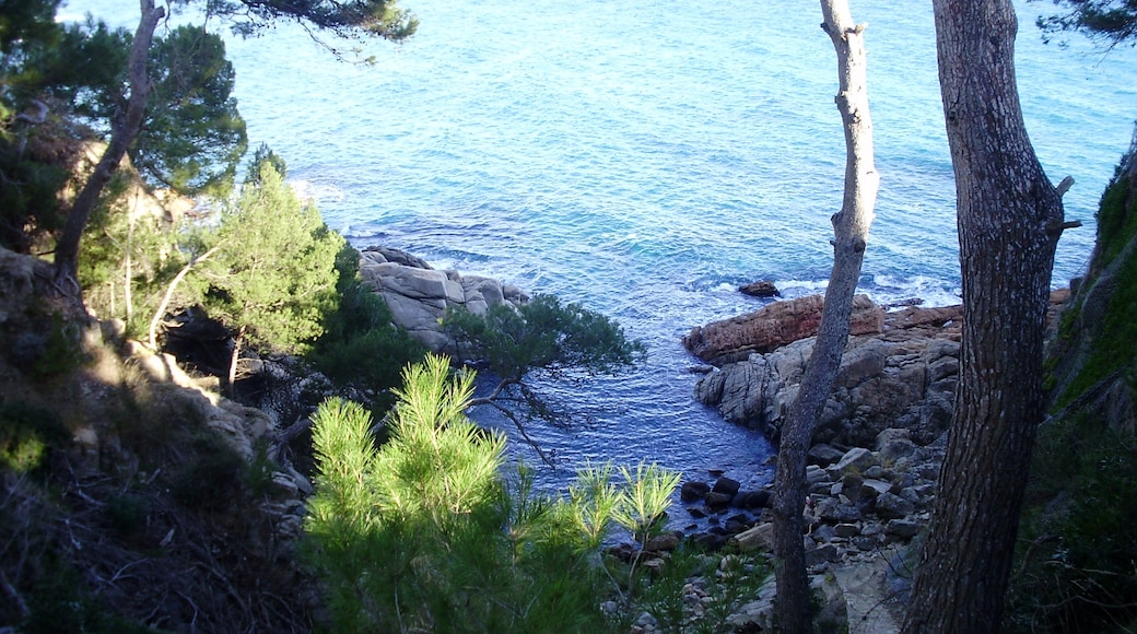 Photo "Cala del Forn" by klimmanet (CC BY) / Cropped from original