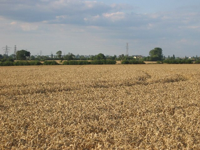 Foto “Stretton Baskerville CP” tomada por Ian Dunckley (CC BY-SA); recorte de la original