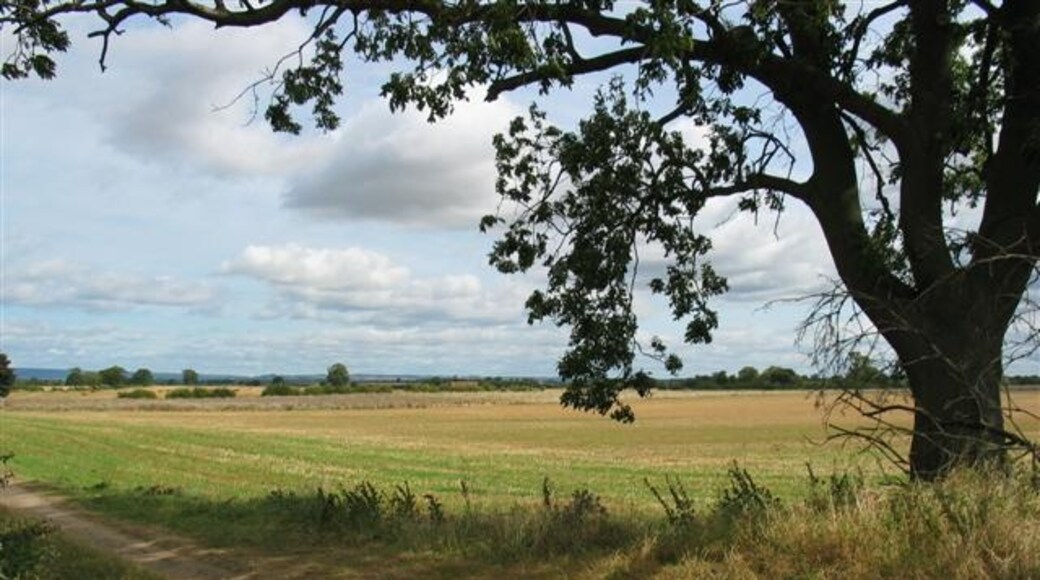 Foto “Kirby Hill” tomada por Johnny Durnan (CC BY-SA); recorte de la original