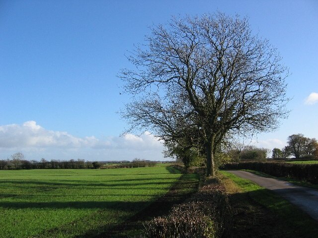 Foto "Watton" de Stephen Horncastle (CC BY-SA) / Recortada do original