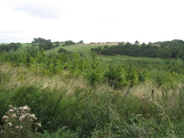 Foto "Barmpton" de peter robinson (CC BY-SA) / Recortada do original