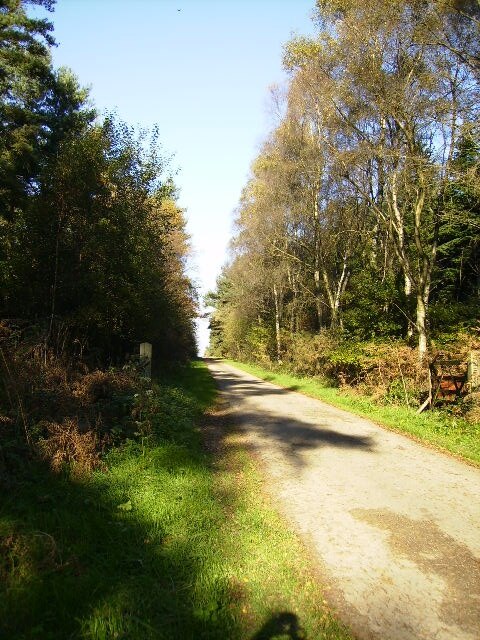 Photo "Grimstone" by Phil Catterall (CC BY-SA) / Cropped from original