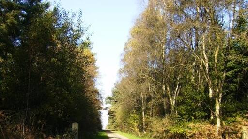 Ảnh "Làng Grimstone" của Phil Catterall (CC BY-SA) / Cắt từ ảnh gốc