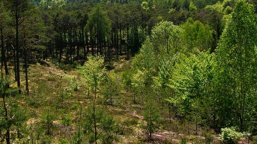 Photo "Pianizza Di Sopra" by Alessandro Gigliotti (CC BY) / Cropped from original